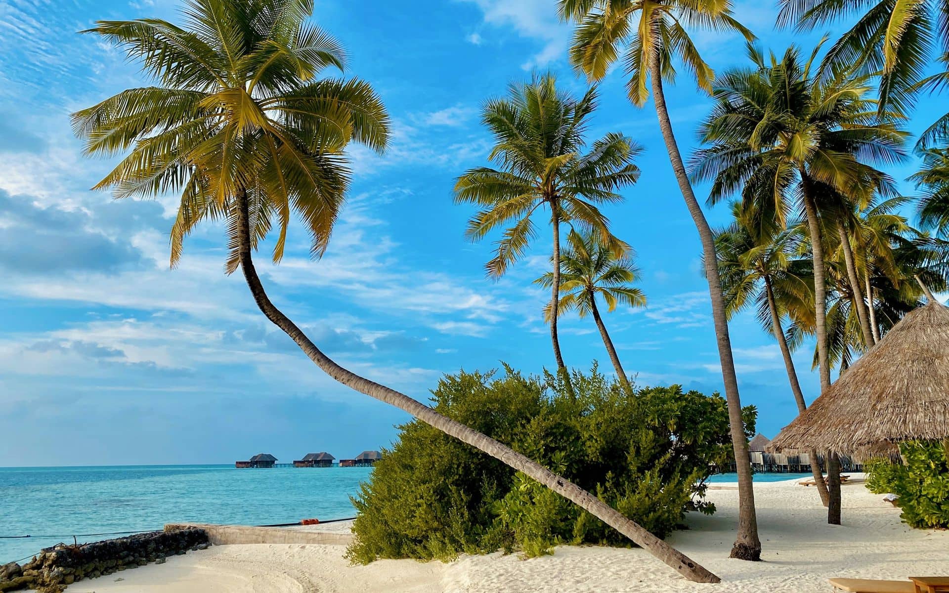 Turquoise water and white sand on the Zanzibar coastline, Tanzania